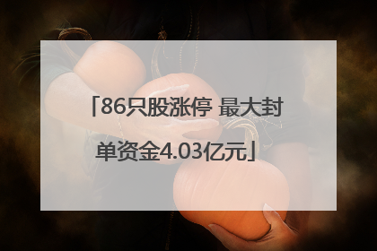 86只股涨停 最大封单资金4.03亿元