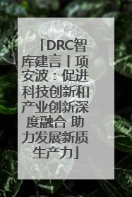 DRC智库建言丨项安波：促进科技创新和产业创新深度融合 助力发展新质生产力