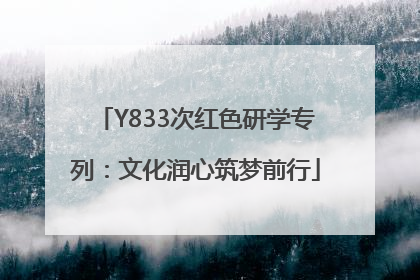 Y833次红色研学专列：文化润心筑梦前行
